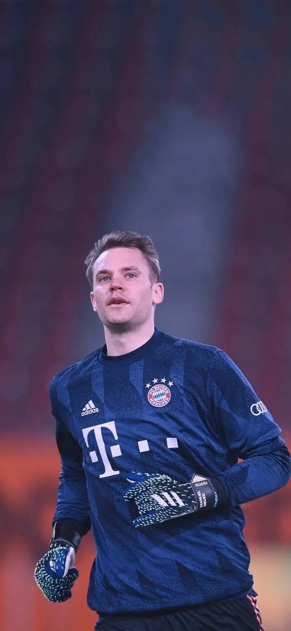 在欧锦赛的 在欧锦赛的